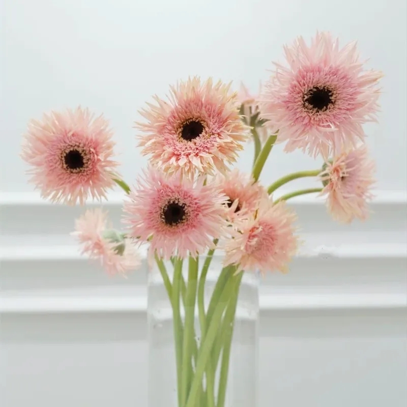 弗朗花