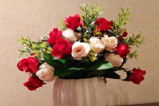 玫瑰花