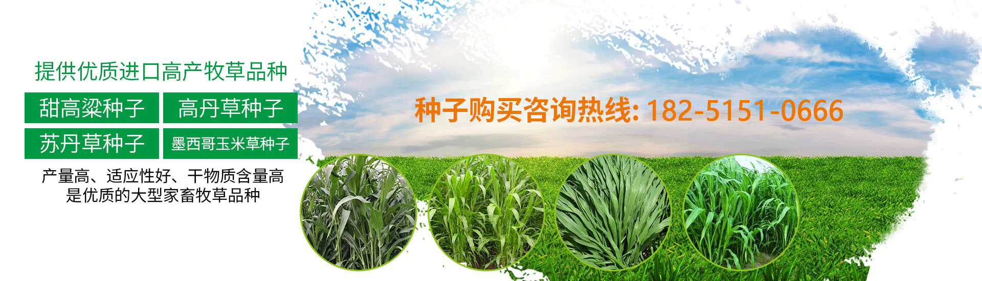 沐草匯園林網